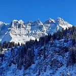 Alpage Immo Location Service