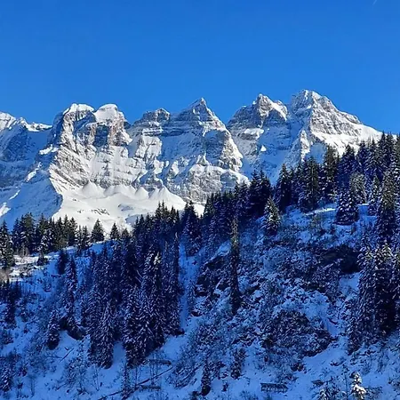 Alpage Immo Location Service