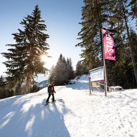 Alpage Immo Location Service *