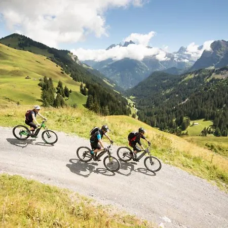 Alpage Immo Location Service *