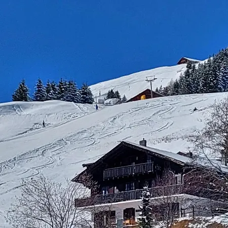 Alpage Immo Location Service