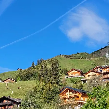 Alpage Immo Location Service