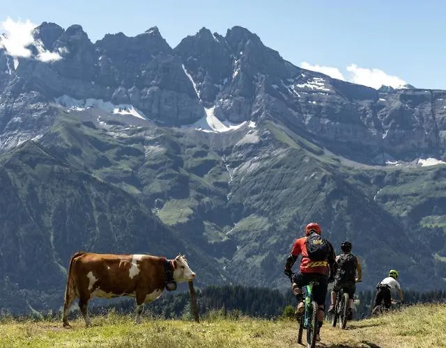 Apartment Alpage Immo Location Service Champoussin