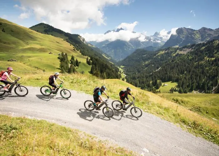 Alpage Immo Location Service *