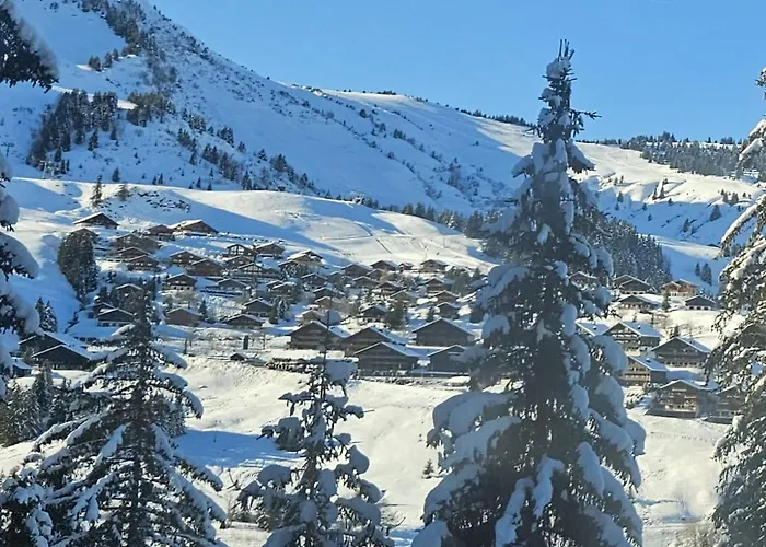 Apartment Alpage Immo Location Service