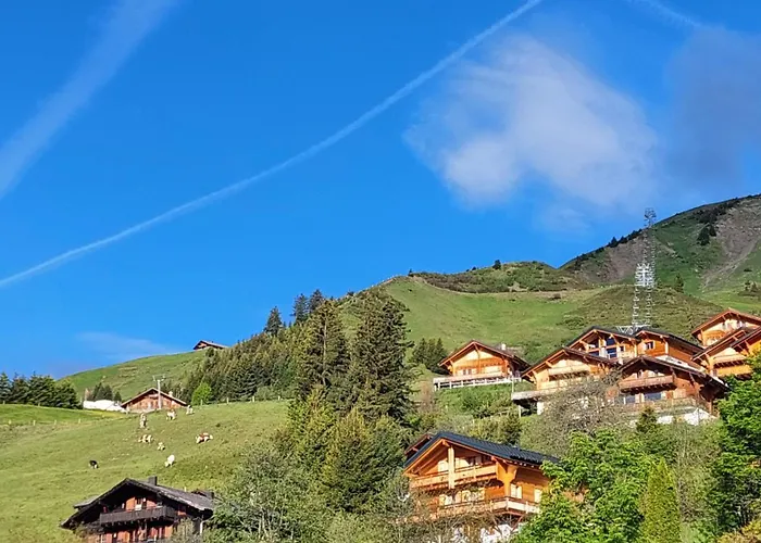 Alpage Immo Location Service