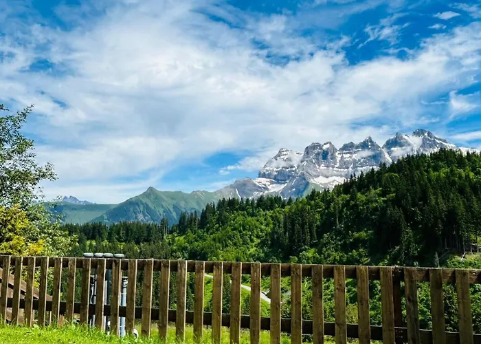 Alpage Immo Location Service Apartment Champoussin