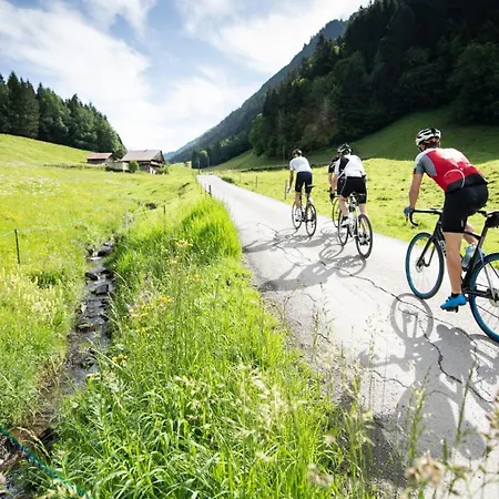 Alpage Immo Location Service * Champoussin