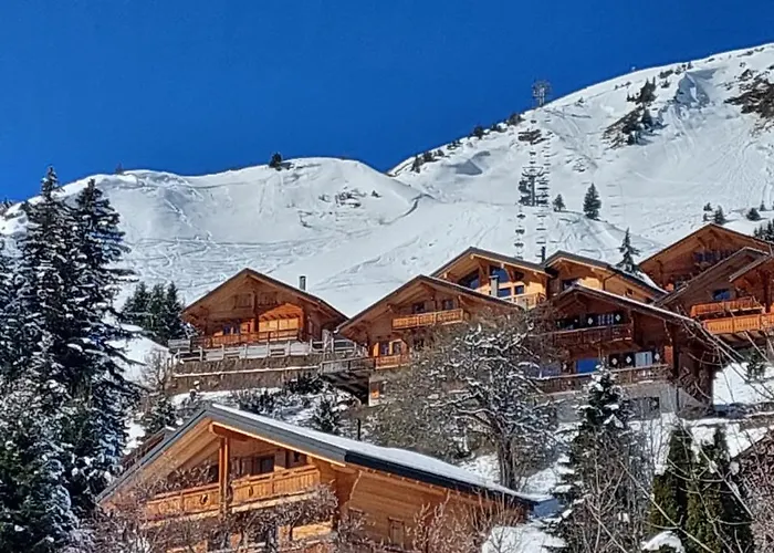 Alpage Immo Location Service Apartman *