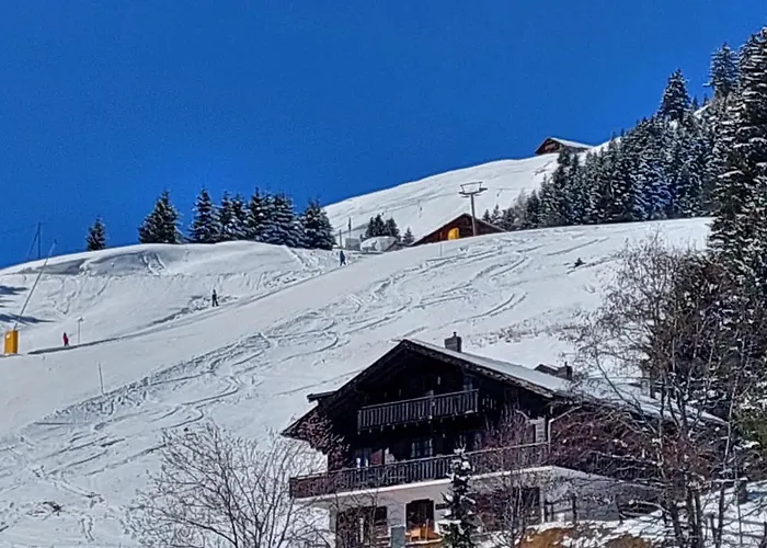 Alpage Immo Location Service