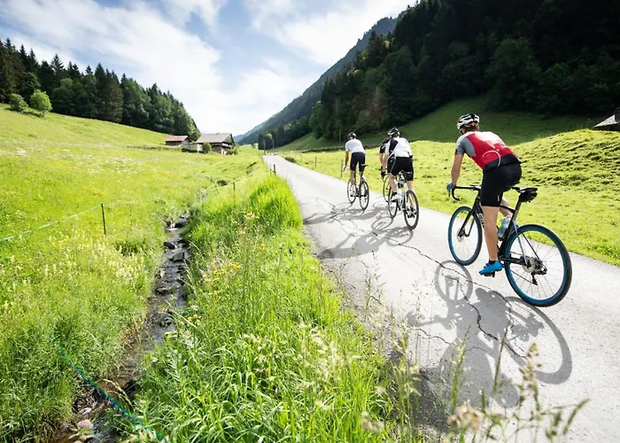 Alpage Immo Location Service * Champoussin